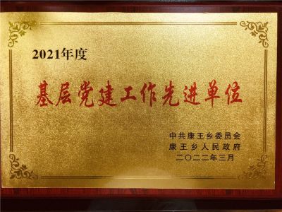 基层党建工作先进单位